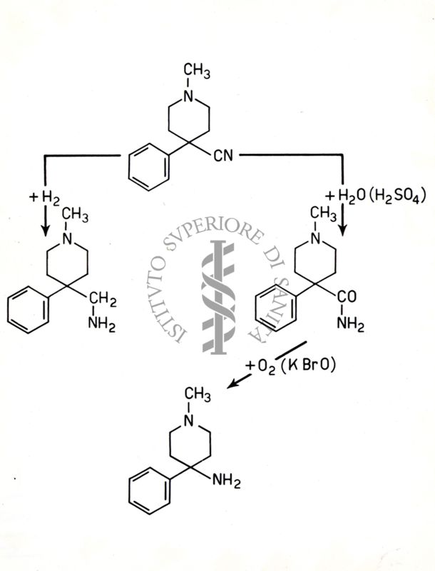 Riproduzione