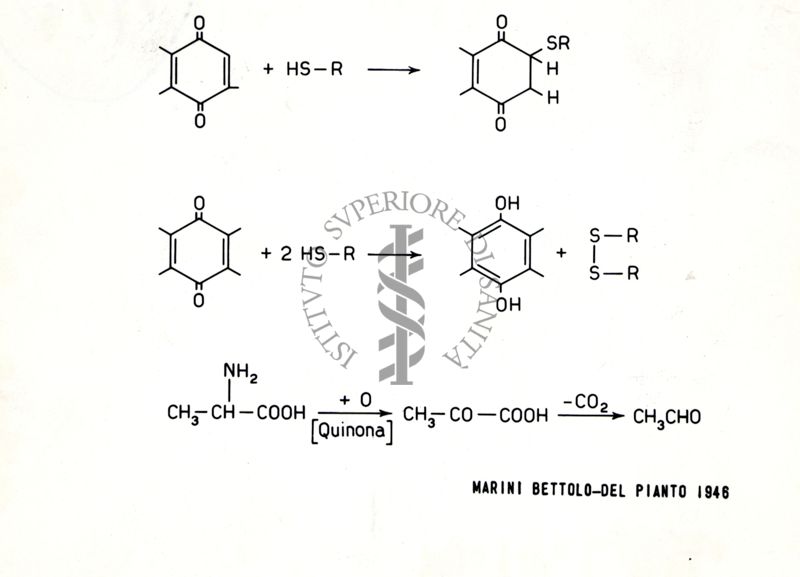 Riproduzione