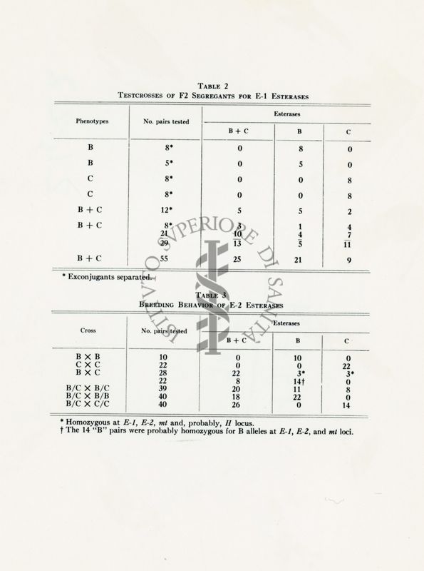 Table 2: testcrosses of F2 segregants for E-1 esterases; Table 3: breeding behavior of E-2 esterases