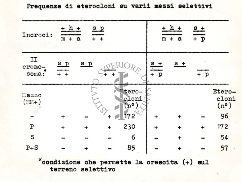 Azione del P32 sull'Aspergillus