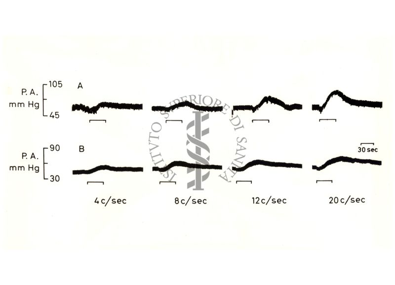 Grafico