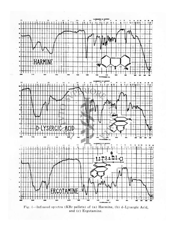 Grafici