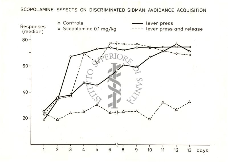 Grafico