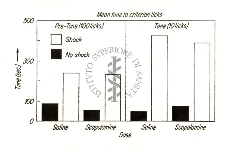 Grafico