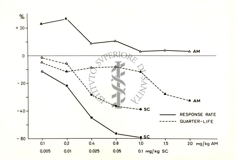 Grafico