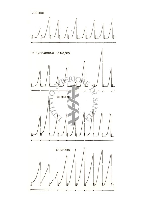 Grafico