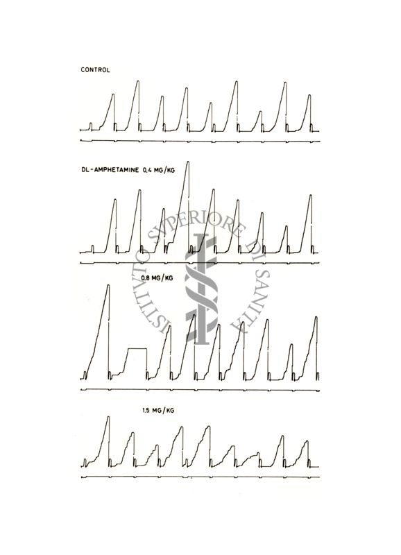 Grafico