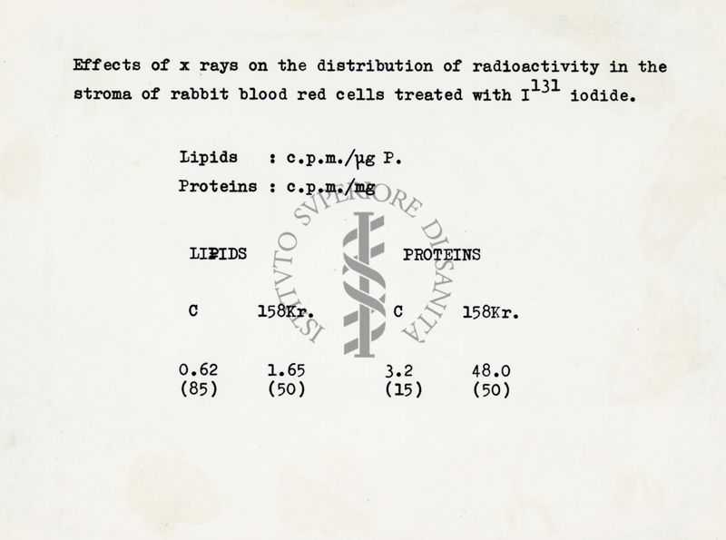 Effetti dei raggi X nella distribuzione della radioattività nello stroma nei globuli rossi del sangue di coniglio trattati con iodio-131