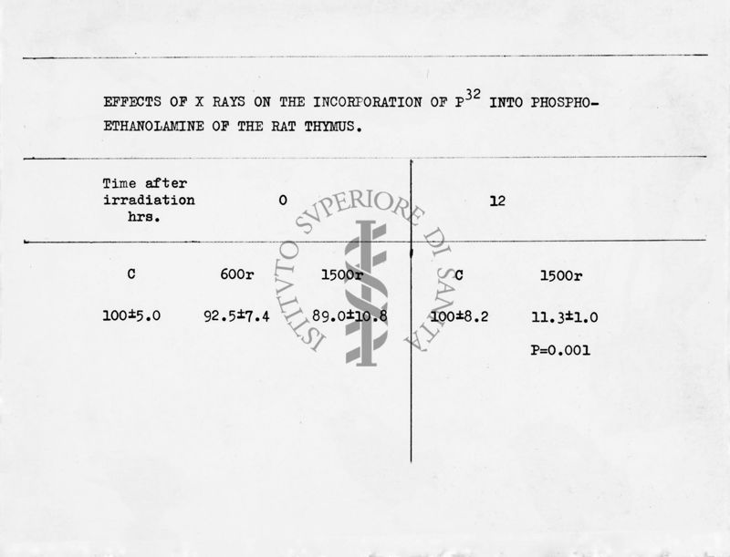 Effetti dei raggi X sull'incorporazione di P32 nella fosfoetanolamina del timo di ratto