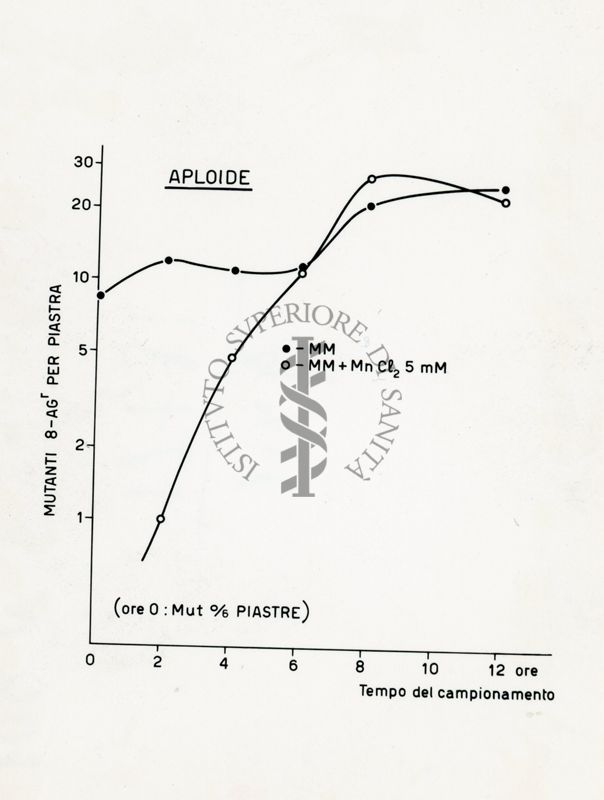 Azione del P32 sull'Aspergillus