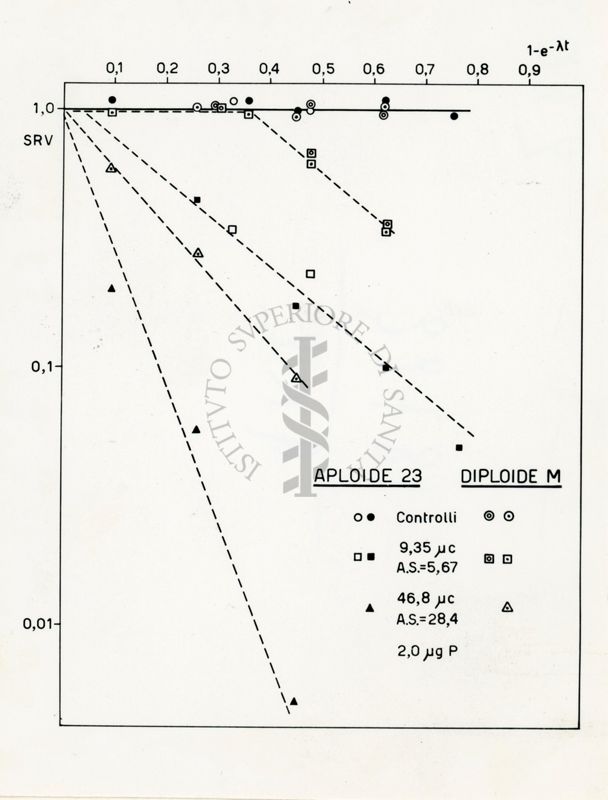 Azione del P32 sull'Aspergillus