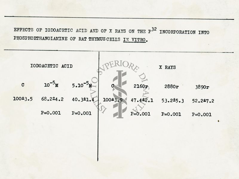 Effetti dell'acido iodoacetico e dei raggi X sull'incorporazione di P32 nella fosfoetanolamina nelle cellule del timo di ratto in vitro
