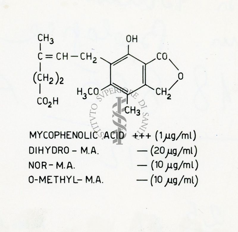 Acido Micofenolico