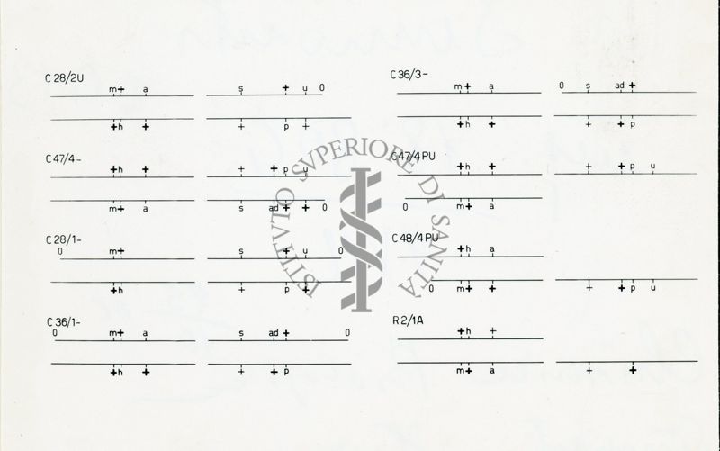 Ederopigoti in Streptomyces