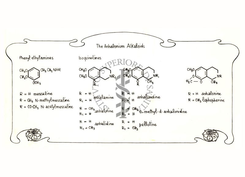 Formula chimica