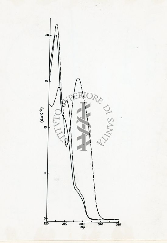 Studio sulla struttura della Ferroverdina