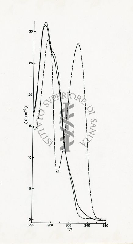 Studio sulla struttura della Ferroverdina