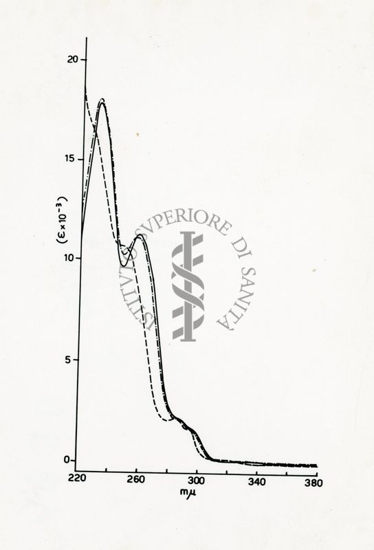 Studio sulla struttura della Ferroverdina