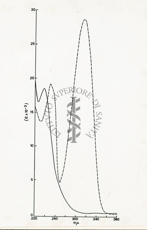 Studio sulla struttura della Ferroverdina