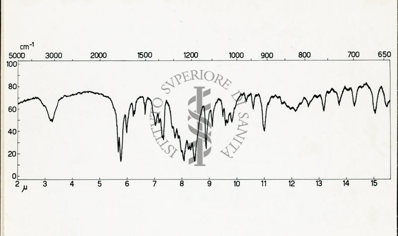 Studio sulla struttura della Ferroverdina