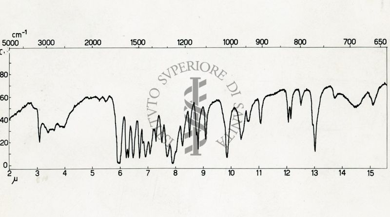 Studio sulla struttura della Ferroverdina