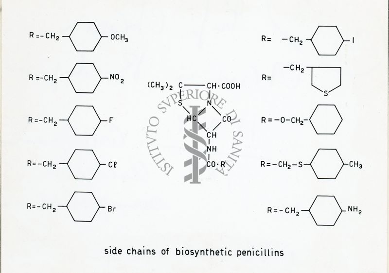 Circolazione cerebrale seriografica