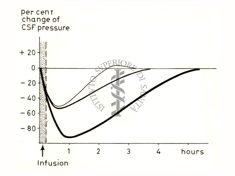 Grafico