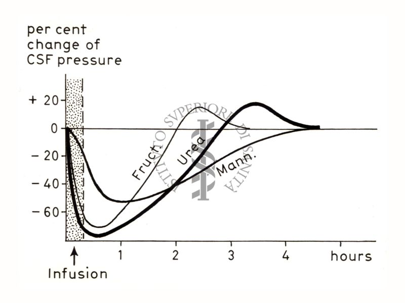 Grafico