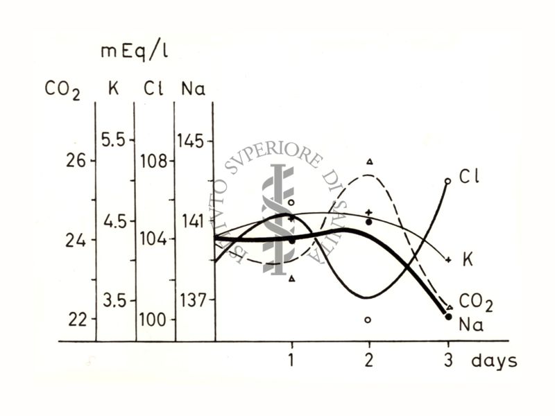 Grafico