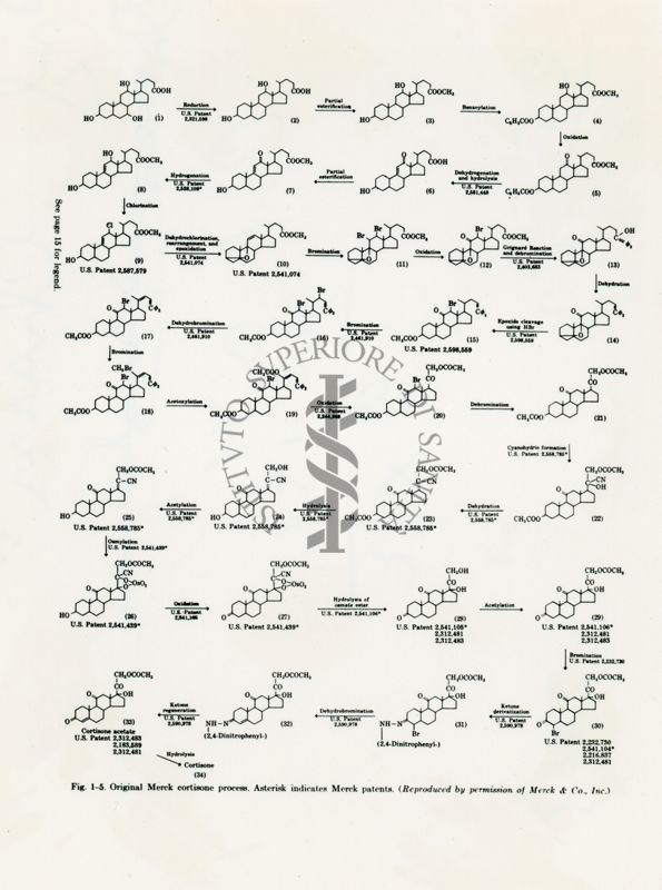 Fig. 1-5 Processo originale Merck del cortisone. L'asterisco indica i brevetti Merck.