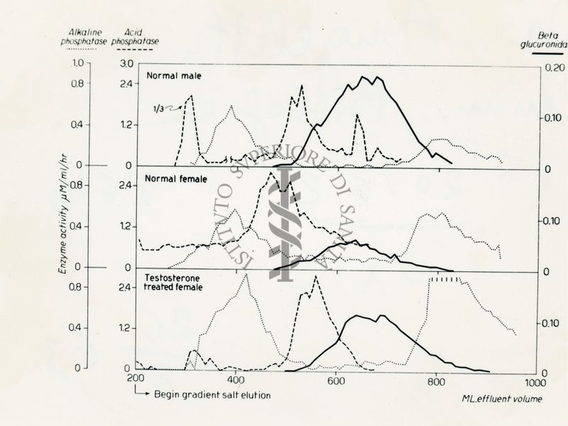 Grafici riguardanti l'andamento di fosfatasi alcalina, fosfatasi acida e beta-glucoronidasi presumibilmente su ratto maschio, ratto femmina e ratto femmina trattato con testosterone