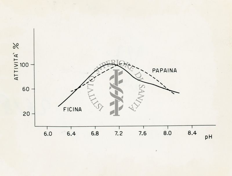 Grafico riguardante la Ficina e la Papaina