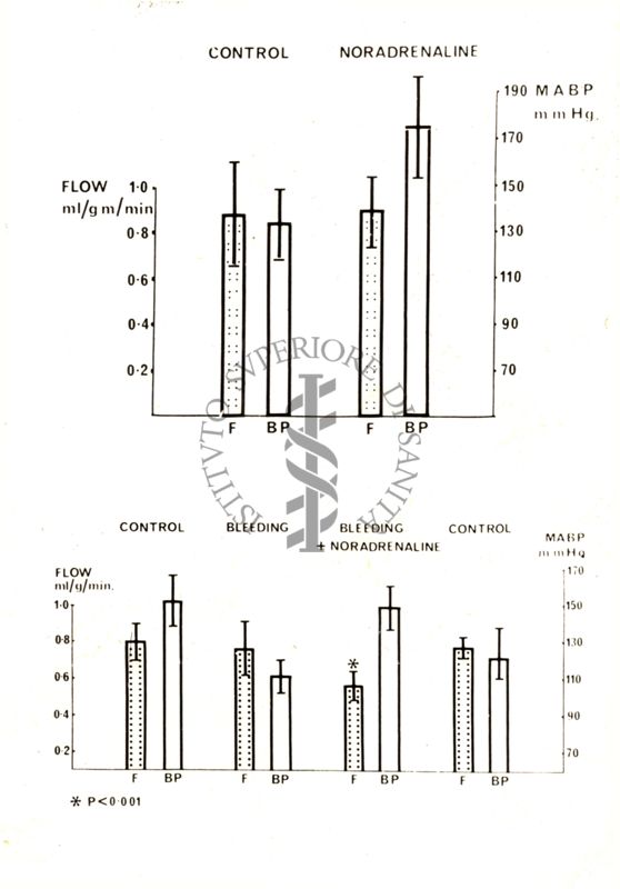 Grafico