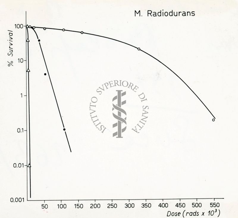 Grafico riguardante il Microbacterium radiodurans