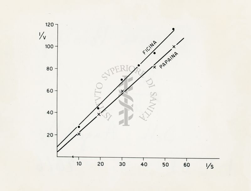 Grafico riguardante la Ficina e la Papaina