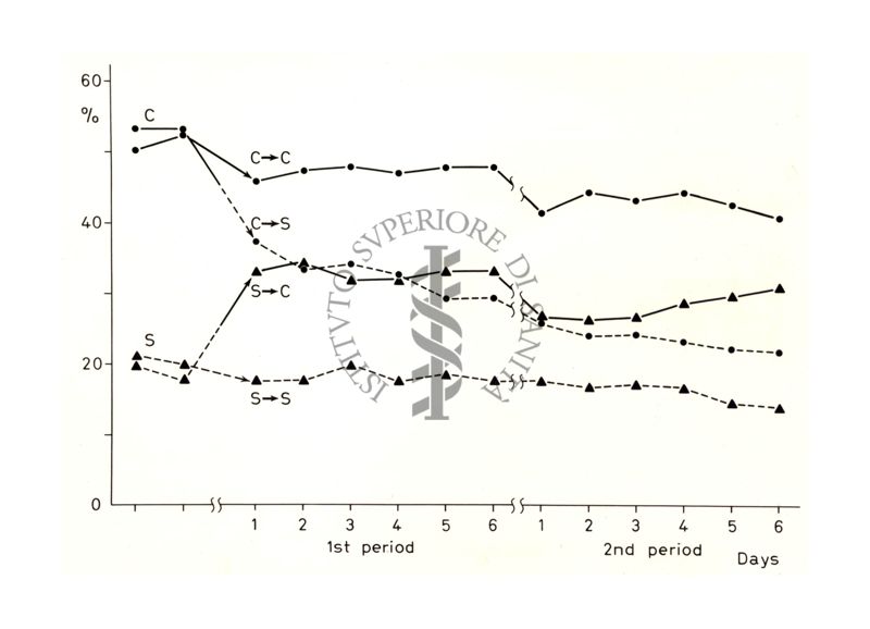 Grafico