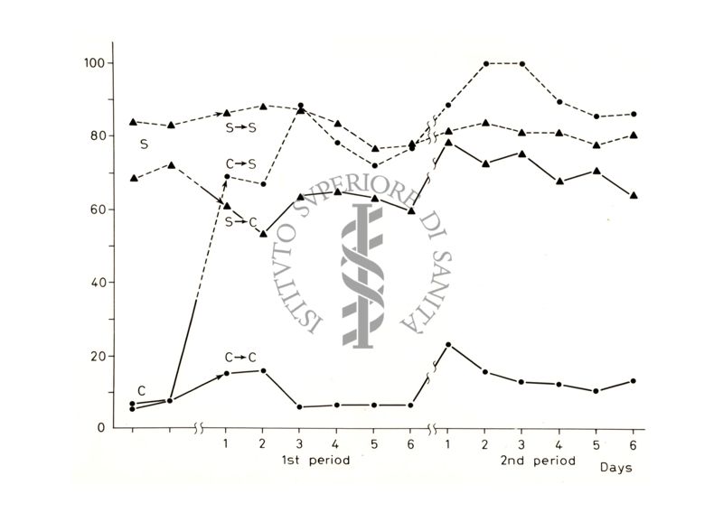 Grafico