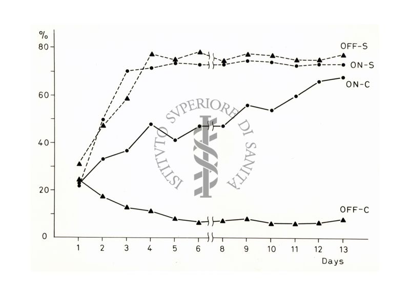 Grafico