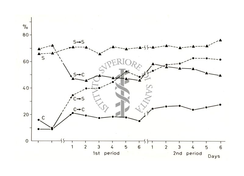 Grafico