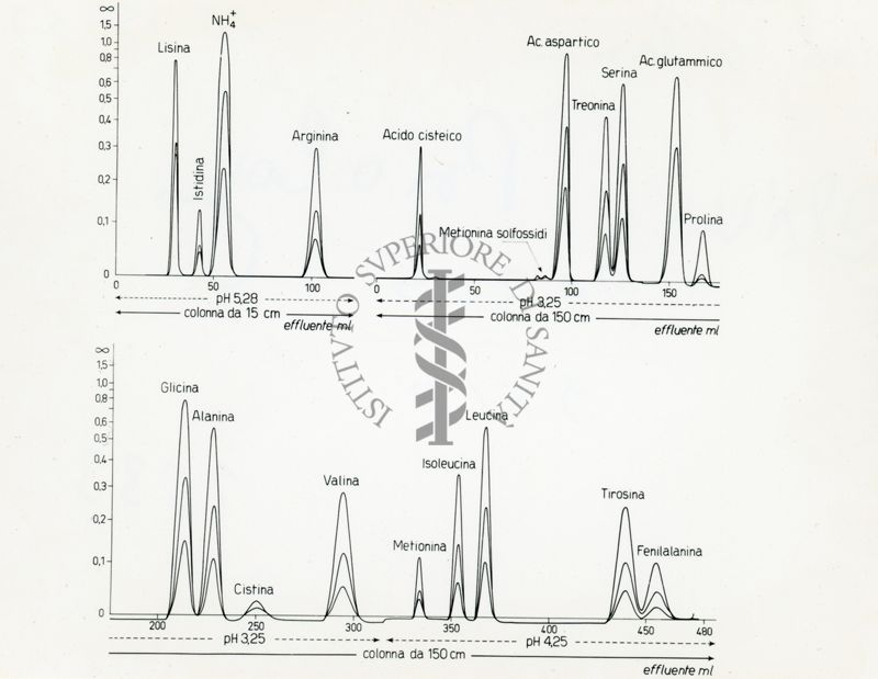 Grafico riguardante vari aminoacidi