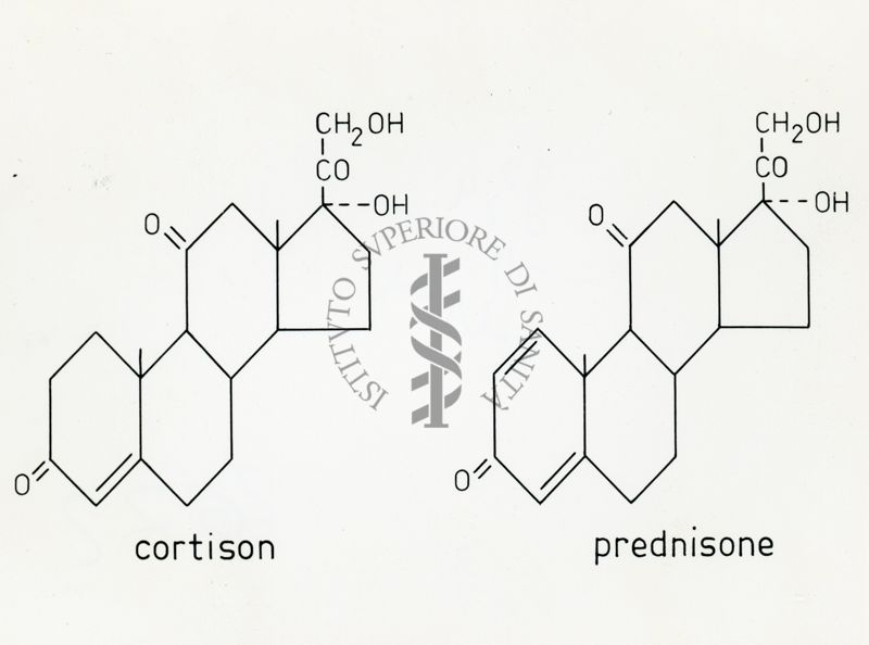 Formule di struttura di Cortisone e Prednisone