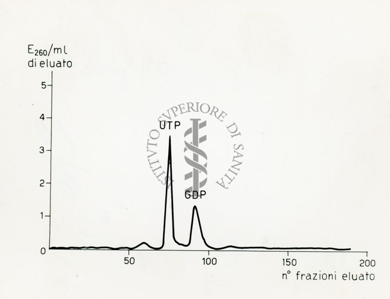 Senza titolo