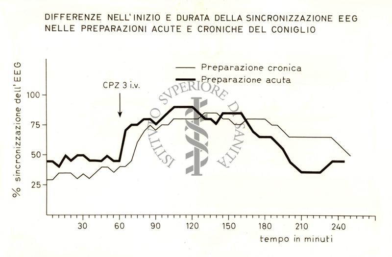 Grafico