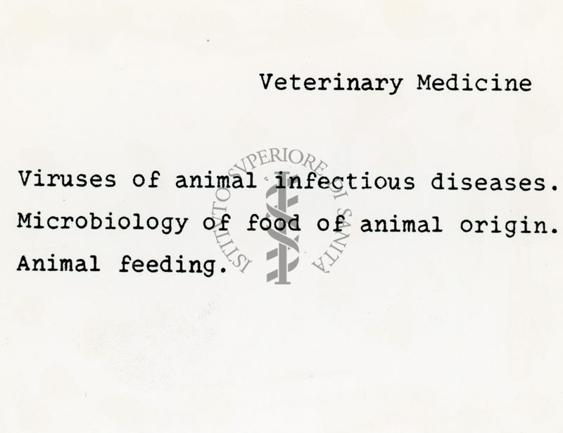 Attività del laboratorio di Medicina Veterinaria