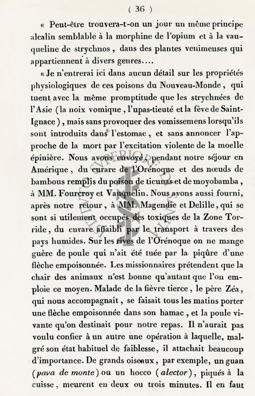 Estratto della Relazione Storica di M. De Humboldt (pag. 36)