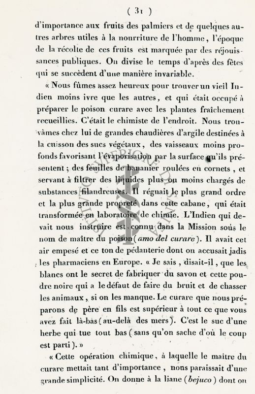 Estratto della Relazione Storica di M. De Humboldt (pag. 31)