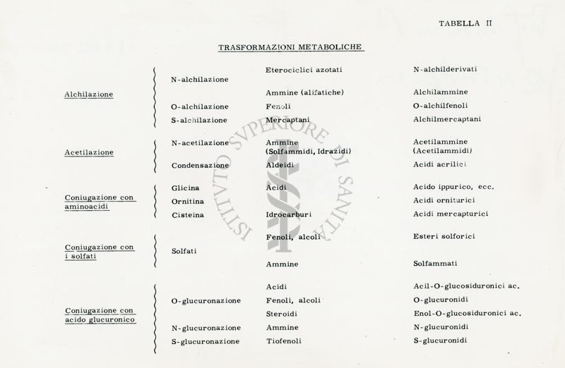 Tabella II - Trasformazioni metaboliche