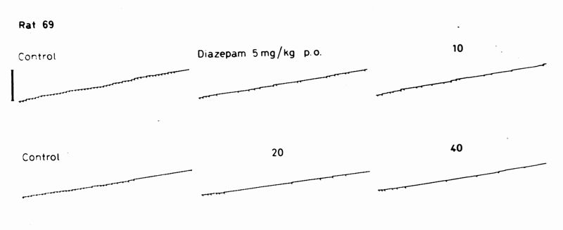 Grafico