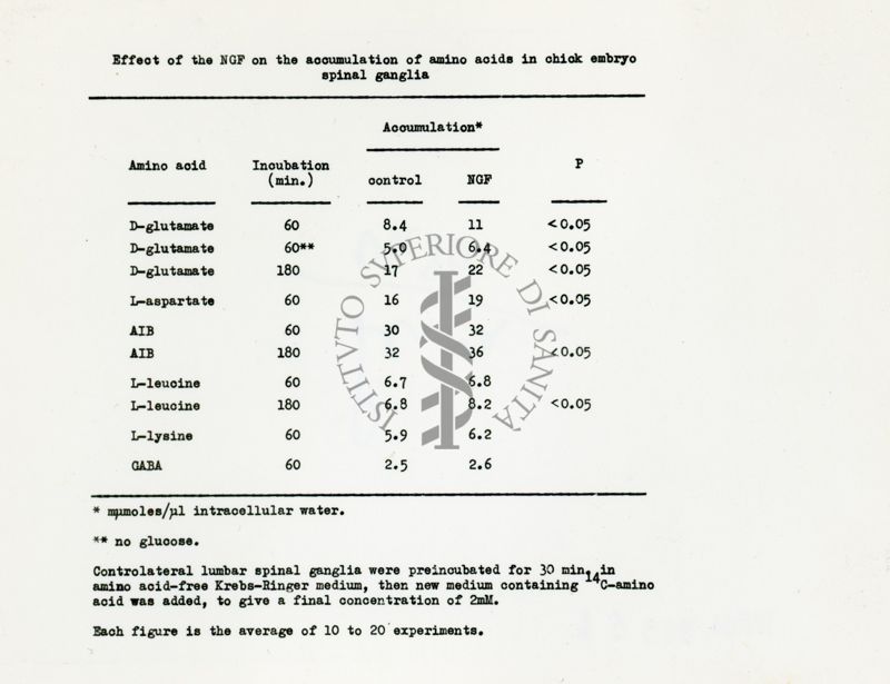 Effetto di NGF sull'accumulo di aminoacidi nei gangli spinali dell'embrione di pollo