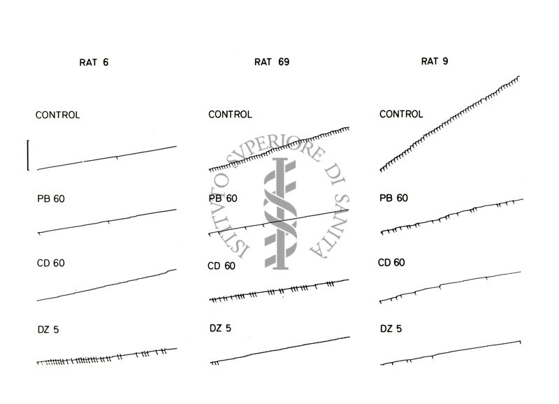 Grafico